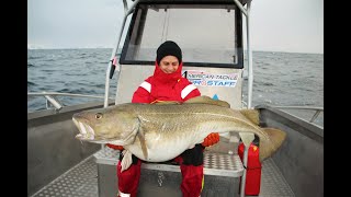 The biggest cod population in the world  A Camp Halibut Fishing film Torskfiske på Sørøya ENG SUBS [upl. by Katine]