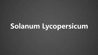 How To Pronounce Solanum Lycopersicum [upl. by Rehpotsirhc]