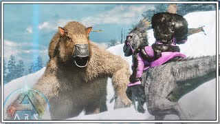 TAMING OUR FIRST MEGATHERIUM AND SHES A BEAST  ARK SURVIVAL ASCENDED EPISODE 22 [upl. by Imotas51]