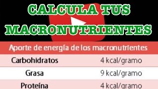 como calcular macronutrientes [upl. by Aistek]