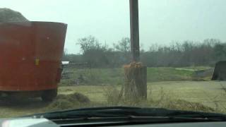 Watching The Feed Truck And Mixer Wagon Being Loaded [upl. by Jaret]