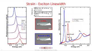 Strain Tuning of Excitons in monolayer WSe2 [upl. by Llenrup]