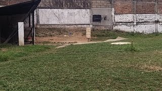 Khasi Hills Archery Sports Institute  1st Round 13112024 [upl. by Lizzie]