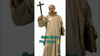 saint bruno of cologne  founder of carthusian monks saintoftheday shortsfeed saint shorts [upl. by Yelsha49]