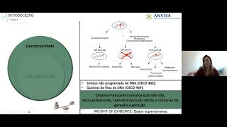 Webinar Guia de avaliação do potencial mutagênico de agrotóxicos [upl. by Nepsa]