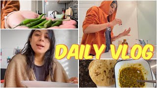 Daily Vlogs🍂life in Canada for Indian migrants  Indian Vlog in foreign countries Lifeofpreeti [upl. by Emiolhs314]