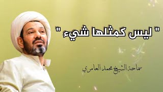 الشيخ محمد العامري  ليس كمثلها شيء [upl. by Hcelemile]