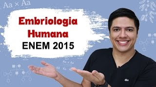 ENEM 2015 BIOLOGIA 03  Embriologia Humana  Prof Kennedy Ramos [upl. by Arraek]