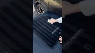 ASMR carpet deep clean automobile shorts asmrsounds [upl. by Adnawuj360]