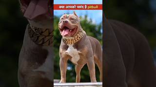 Pitbull के बारे में कुछ रोचक तथ्य  Pitbull 🐕 shorts ytshorts dog [upl. by Mert]