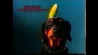 Dhl TVC bird vs dog [upl. by Tulley]