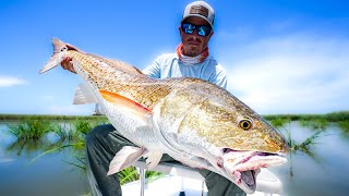 INSANE ACTION BULL REDFISH Venice Louisiana [upl. by Yssenhguahs]