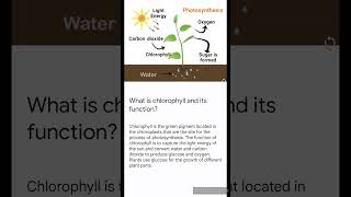 What is chlorophyll and its functionnature viral shorts [upl. by Malinin]