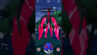 Aww almost catch it 😢  Galarian Moltres Pokemon Go pokemon excellentthrow galarianmoltres [upl. by Ehtiaf]