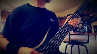 Playing my Bass Guitar to RUSH  YYZ [upl. by Dlonra]