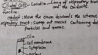 Ciliated Cells  Location Function and Adaptations  Well Explained  Harrison J Zulu Tutor [upl. by Godiva]