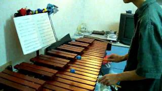 Bach Minuet BWV Anh 116 G Major Anna Magdalena Notebook 2 Marimba 巴赫 小步舞曲 [upl. by Leftwich]