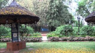 Sarada Vanam in Ramakrishna Math Hyderabad [upl. by Starlene]