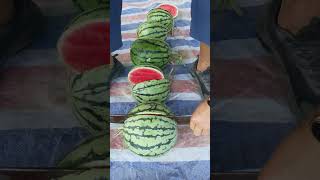 Watermelon cutting extreme 🍉🍉🍉🍉 nature fruit fruitcutting watermelon naturalbeauty [upl. by Sewellyn]