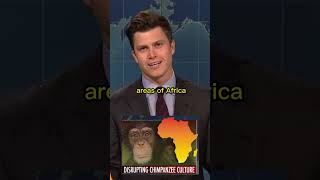 Colin Jost and Michael Che swap jokes 😂 weekendupdate [upl. by Cora]