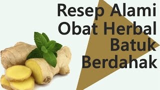 Resep Alami Obat Herbal Batuk Berdahak [upl. by Ashely]