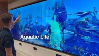 Aquatic Life  Ouva Sensory Experience [upl. by Gaylene474]