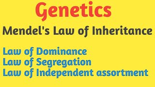 Genetics  Mendels Law of Inheritance  Pravin Bhosale [upl. by Nehpets869]