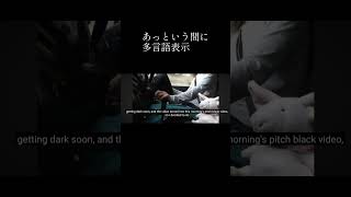 YouTube 字幕機能を導入 [upl. by Barnum]