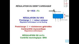 11  Physiologie cardio vasculaire partie 11 [upl. by Xineohp230]