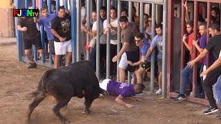 Encierros y suelta de Vacas  Roser 2017  Almassora Castellon Bous Al Carrer Toros FJGNtv [upl. by Ytirahs699]