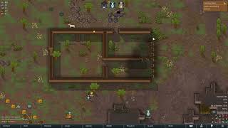 Rimworld Lets Play Part 1 [upl. by Mauretta]