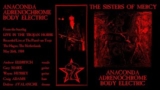 The Sisters of Mercy  Anaconda  Adrenochrome  Body Electric Live 1984 [upl. by Isleana]