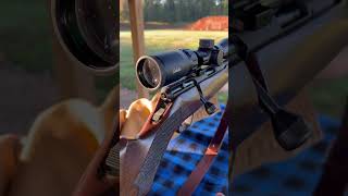 Savage B22 Bolt Action Rifle Guns [upl. by Sathrum]