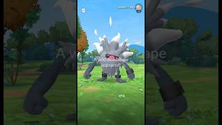 Wild Annihilape Encounter in Pokemon Go  Shorts PokemonGo ShinyPokemon PokemonGoEvent Pokemon [upl. by Belle]