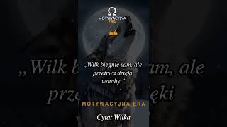 Cytat Wilka o Przetrwaniu i Wspólnocie – Siła Jedn [upl. by Undry]