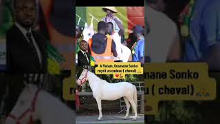 🔴 Aliou Sene DG CROUS Bambey offre un cheval blanc à Ousmane Sonko [upl. by Lotson]