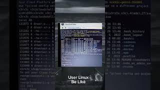 User Linux VS User Windows [upl. by Ahsinam937]