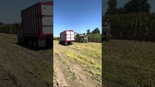 John Deere forage harvester part 17 [upl. by Dilisio]