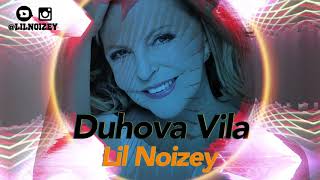 Duhova Vila  noizey Remix [upl. by Hasty]