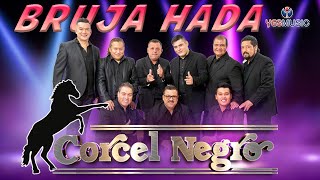 Corcel Negro quotBruja Hadaquot Video Oficial [upl. by Neda908]