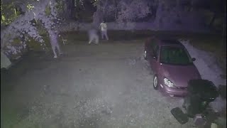 Video shows after teen was shot in back of head in Chickasaw [upl. by Nyrok594]