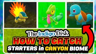 How To Unlock Starter Pokemon amp Canyon Starter Location Guide  Pokemon Indigo Disk DLC [upl. by Herta898]