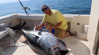 Bluefin Tuna on Cape Cod Whales Sharks and a Harrowing Harpoon Incident [upl. by Adoc371]