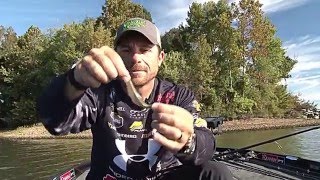 Drop shot with shad baits  EXTREME EDGE [upl. by Wessling976]