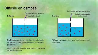 Endocytose exocytose diffusie osmose actief en passief transport  Transport in en uit cellen [upl. by Nessy]