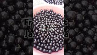 Fresh fruit jabuticaba everyone short highlights [upl. by Kiyoshi]