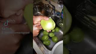 ChristophineChayote to Make jelly repost AQUARIAN positivity positive life kitchen Chanel ♥ [upl. by Bay]