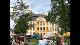 the Dreadnoughts Live at the Shamrock Castle Festival 2024 [upl. by Haslett]