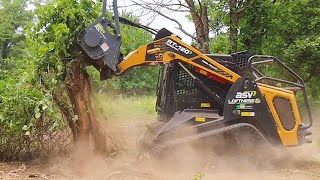 Shredding Trees with a Forestry Mulcher [upl. by Lovell]