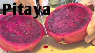 Pitaya Dragon Fruit Review  Weird Fruit Explorer  Episode 15 [upl. by Nytsua522]